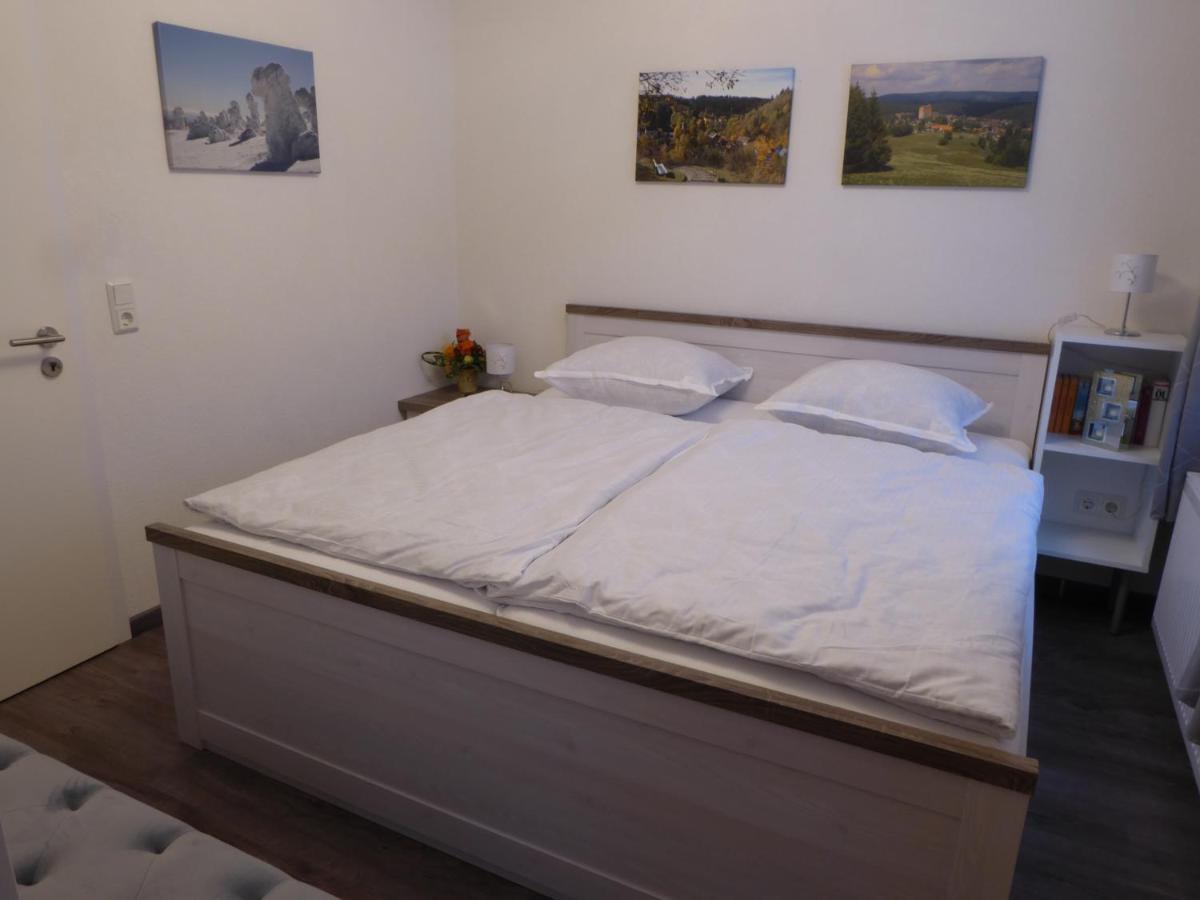 Haus Am Hang Altenau  Eksteriør billede